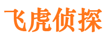 灯塔外遇调查取证